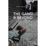 THE GANG AND BEYOND: INTERPRETING VIOLENT STREET WORLDS