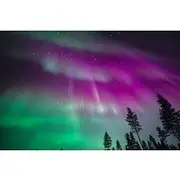 Save 20.00%! Aurora Hunting Group Tour - Guaranteed View