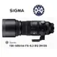 SIGMA 150-600mm F5-6.3 DG DN OS Sports 望遠鏡頭 長砲 打鳥 Sony, L