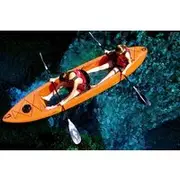 Save 20.01%! Bioluminescent Clear Bottom Kayak or Paddleboard Sit-On-Top Kayak Hybrid Tour!