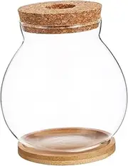 Milisten Small Glass Fish Bowl with Lid Hydroponic Mini Aquarium for Betta Fish Desktop Decor for Home Office Planter