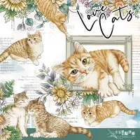 在飛比找蝦皮購物優惠-Love Cats / 亮面PET / 膠帶 預購5/20出