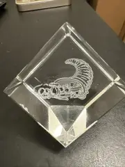 Cornucopia In Square Glass Cube Paperweight