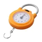 Metal High Precision Kitchen Scale Hanging Scale With Hook Spring Scale