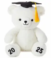 Graduation 2025 Bear – White Plush Teddy 8" with Cap & Tassel | Soft Keepsake