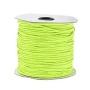 Elastic Cord Heavy Stretch String Rope 2.5mm 109 Yards Light Green