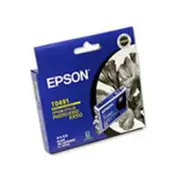 Epson T0491 Black Ink Cartridge (Original)