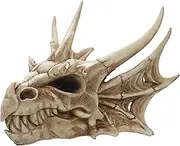 Puckator Dragon Skull - Dragon Ornament - Gothic Decor - Dragon Toy Statue - Dragon Figurines - Gothic Home Accessories - Dragon Miniature Sculpture - Resin