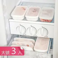 在飛比找momo購物網優惠-冰箱肉類保鮮專用收納盒冷凍分裝分格保鮮盒備菜盒(大號3入)