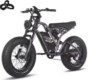Fafrees F20 Ultra E-bike 1500w