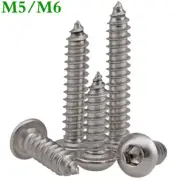 M5 M6 304 Stainless Steel Button Head Hex Socket Screws Self Tapping Wood Screws