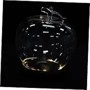 Fine Workmanship Glass Dome Preserved Fresh Flowers Creative Decor for Room