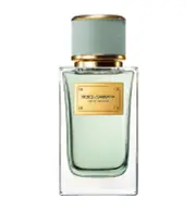 Dolce & Gabbana Velvet Infusion EDP 100ml