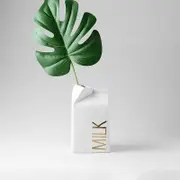 Only 1 Milk Ceramic Box Display Decorative Vase