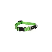 Rogz Lime Small 11mm Wide x 20cm to 31cm Classic Utility Collar for Dogs & Puppies