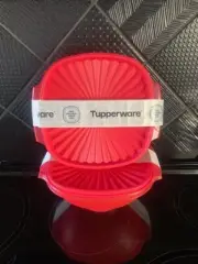 Tupperware Heritage Servalier Bowl SET OF 2 *Flamingo*