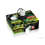 EXOTERRA LIGHT FITTING GLOW LIGHT SIZE S 適用於 UVA UVB 爬蟲燈蜥蜴龜