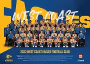 West coast eagles team poster,FREE POST, Afl football, cats,demons, swans, book