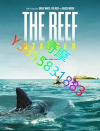 在飛比找Yahoo!奇摩拍賣優惠-DVD 賣場 電影 暗礁狂鯊/The Reef: Stalk