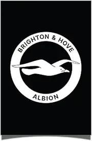 Desert Cactus Brighton & Hove Albion Poster BHAFC Seagulls Football Club Soccer 11 inches by 17 inches Decoration Room Official Fan Gear (11x17) (Design G, Paper)