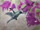 Hummingbird Pastel On Art Spectrum Sanded Paper
