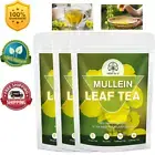 3packs Organic Mullein Leaf Tea Bags Lung Cleanse Detox Herbal Enhance Immunity