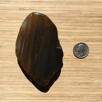 Agate Geode Rock Slice Thick Cut Polished Brown Stone Gray Banding 4.25 Inches