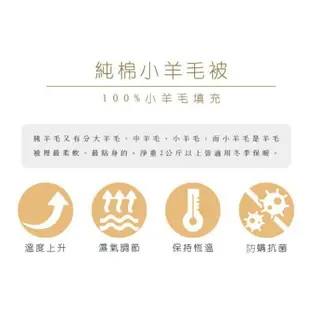 JS100%純棉小羊毛被-臺灣製【名流寢飾家居館】