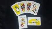 2 decks -LINUX PLAYING CARDS - Bill Gates as the Joker!