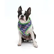 FuzzYard Love How You Roll Dog Harness Purple
