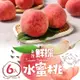 免運!【真美味】1箱6顆 台灣鮮採水蜜桃6入裝_禮盒 6入裝/1公斤/箱
