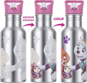Nickelodeon Paw Patrol Colour Changing Aluminium Kids Water Bottle