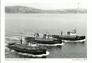 *WA. Postcard-"The 3 Tugs...Retriever*Goliah*Restless" -*Puget Sound- {C21}