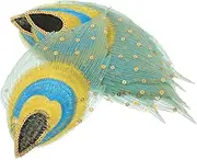 Gogogmee 10pcs Embroidery Peacock Applique : Costumes Sew-on Decorative Fabric Applique Clothing Traditional Handmade Patch for DIY Pants Hats Shirts