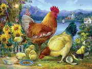 SunsOut Rooster Walk 500 Piece Jigsaw Puzzle By Oleg Gavrilov