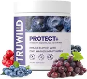 Baselayer Immune Support & Antioxidant Supplement | with Vitamin C, Zinc, Magnesium, Resveratrol, Cranberry, Acai & Grape Seed Extract | Vegan | Non GMO | 60 Capsules