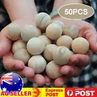 50PCS Cedar Mothballs Natural Scented Insect Repellent Safe Effective DF