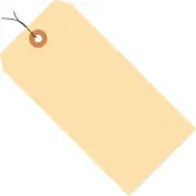 Aviditi G30063 10 Point Cardstock Pre-Wired Shipping Tag, 1-Pack, Manila