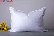 Standard Goose Down Feather Hotel Collection Bed Pillows Sleeping Pillow Back US