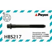 Payen Cylinder Head Bolt Set - HBS217