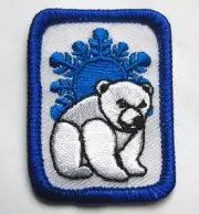 Girl Scout Cadette Senior CLIMATE CHANGE IP BADGE Council Own Polar Bear Patch