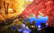 Landscape nature fall colorful grass trees lake Custom Gaming Mat Desk