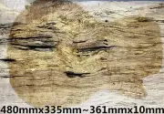 Figure Archtop Guitar Drop Top Spalted Maple Wood Worm-hole For Stabilized Make