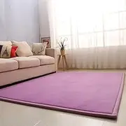 Living Room Home Decor Coral Fleece Area Rug,Modern Nursery Washable Kids Bedroom Rug,Girls Boys Soft Non-Slip Soft Mat,2cm Thick Kids Carpet-F- 120 * 200cm