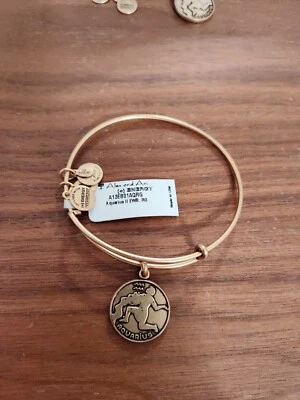 ALEX AND ANI SILVER AQUARIUS BANGLE BRACELET