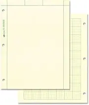 NATIONAL Brand Computation Pad, Plain & 5 X 5 Quad On Back, Green Paper, 8.5 x 11 200 Sheets (42389)