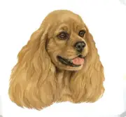 Cocker Spaniel Buff Tote Bag