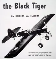 BLACK TIGER & Berkeley P-40 WARHAWK PLANS + BUILDING ARTICLE for UC Stunt Model