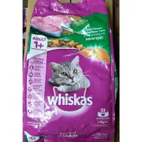 在飛比找蝦皮購物優惠-Whiskas 偉嘉 貓乾糧 貓飼料 1.1公斤  1.2公