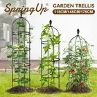 Garden Plants Support Obelisk Trellis Climbing Frame Rose Vine Stand Decoration